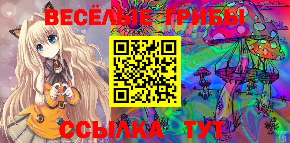 Псилоцибиновые грибы мухоморы  Вход с VPN  Хасавюрт 